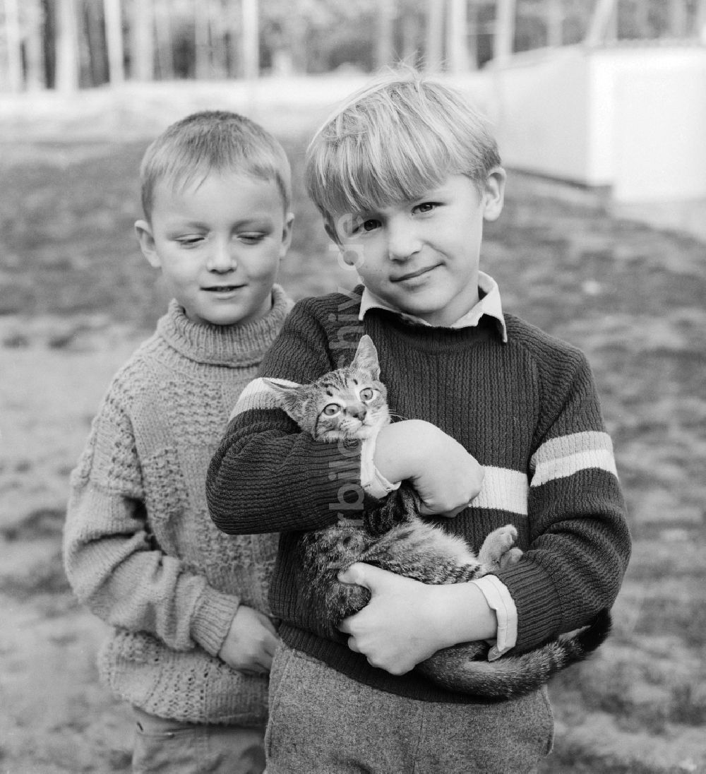 Mittenwalde: Zwei Kinder mit einer Katze auf dem Arm in Mittenwalde in Brandenburg in der DDR