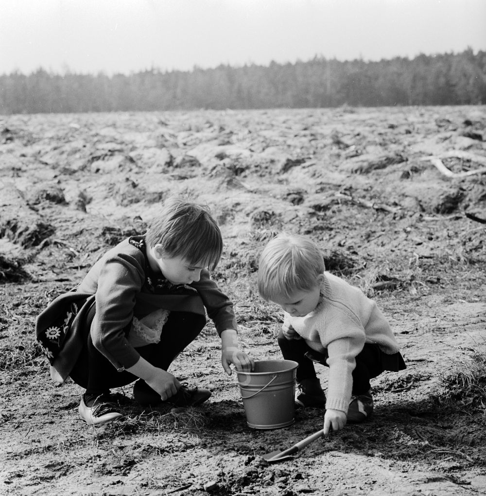 DDR-Fotoarchiv: Wernigerode - Zwei kleine Kinder buddeln im Sand in Wernigerode in Sachsen-Anhalt in der DDR