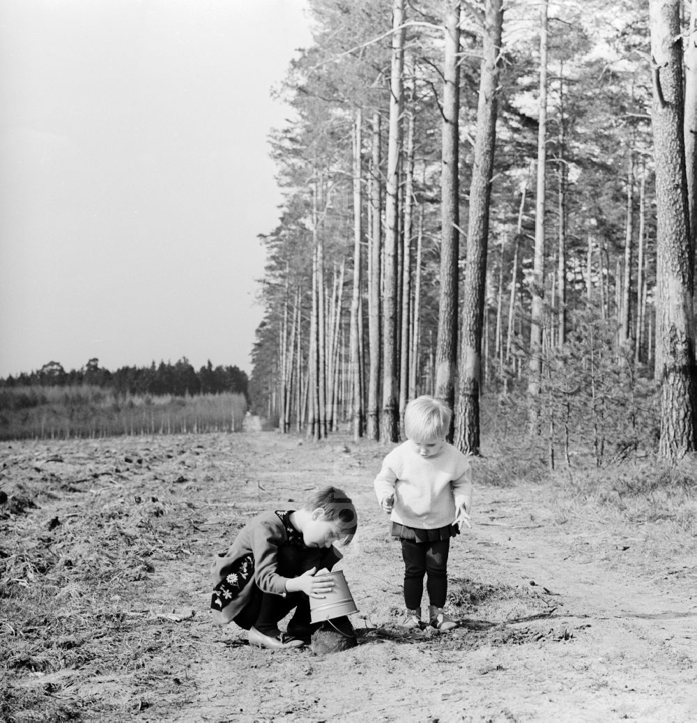 Wernigerode: Zwei kleine Kinder buddeln am Waldrand im Sand in Wernigerode in Sachsen-Anhalt in der DDR