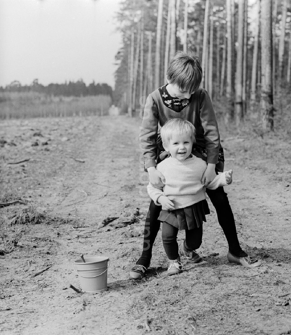 Wernigerode: Zwei kleine Kinder spielen am Waldrand im Sand in Wernigerode in Sachsen-Anhalt in der DDR