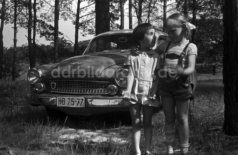 Neuruppin OT Stendenitz: Zwei Mädchen vor einem Wartburg 311 in einem Waldstück in Brandenburg