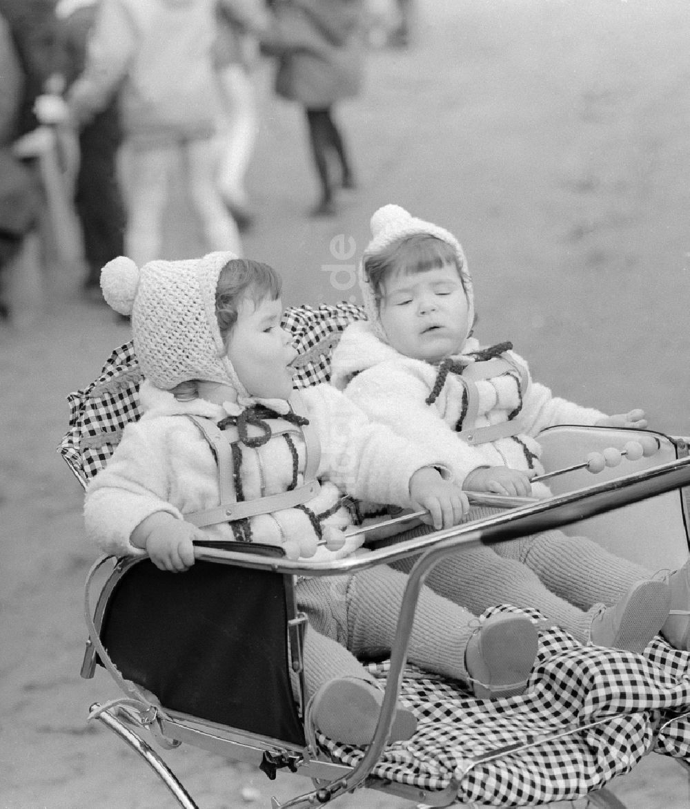 DDR-Fotoarchiv: Berlin - Zwillinge in einem Zwillingskinderwagen in Berlin, der ehemaligen Hauptstadt der DDR, Deutsche Demokratische Republik